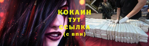 молекула духа Гусев