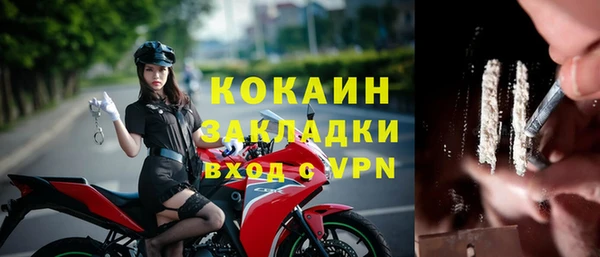 молекула духа Гусев
