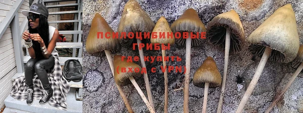 молекула духа Гусев