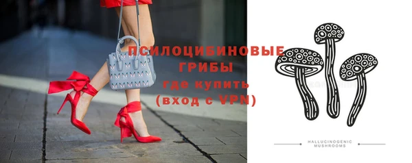 молекула духа Гусев
