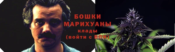 молекула духа Гусев