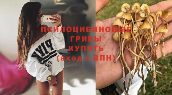 a pvp Гусиноозёрск