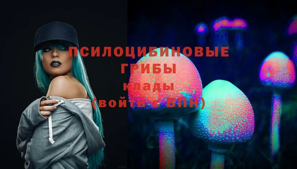 молекула духа Гусев