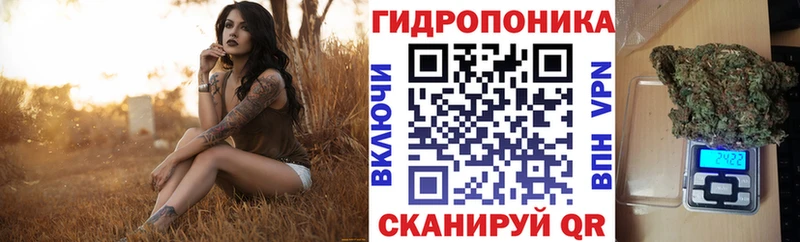 Купить закладки  Тара  Бошки Шишки VHQ 
